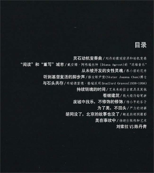 Language, music and art.  A dialog and essays in Chinese by LIU Sola